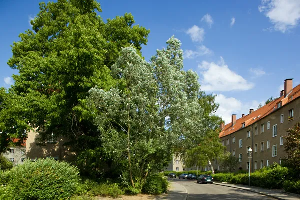 ideale Erstwohnung für Singles — photo 1